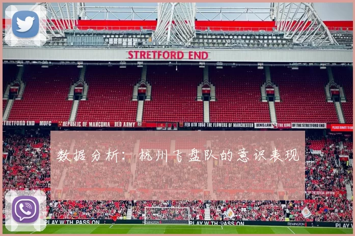 数据分析：杭州飞盘队的意识表现