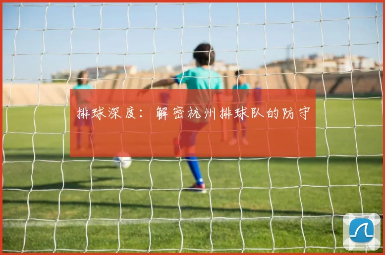排球深度：解密杭州排球队的防守
