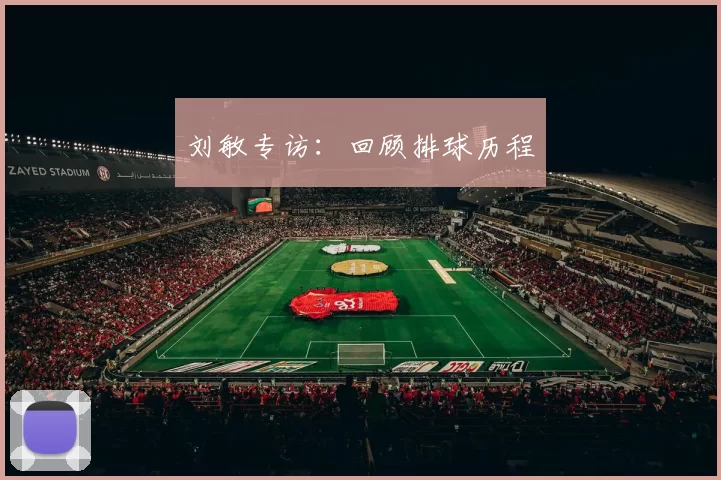 刘敏专访：回顾排球历程